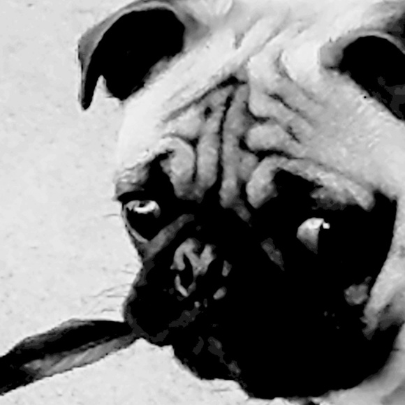 Meet your Posher, Shelly - Picture 1 of 1